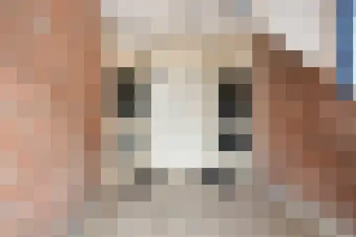 Dijkcentrum 89 Roosendaal thumbnail 6