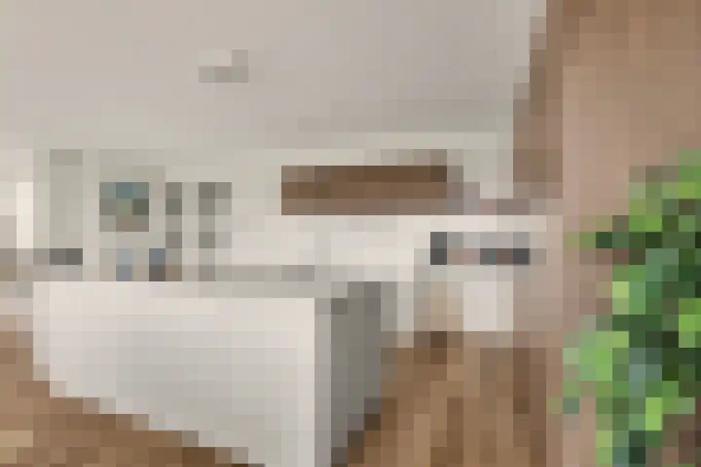 Dijkdreef 26 Kamperland thumbnail 16
