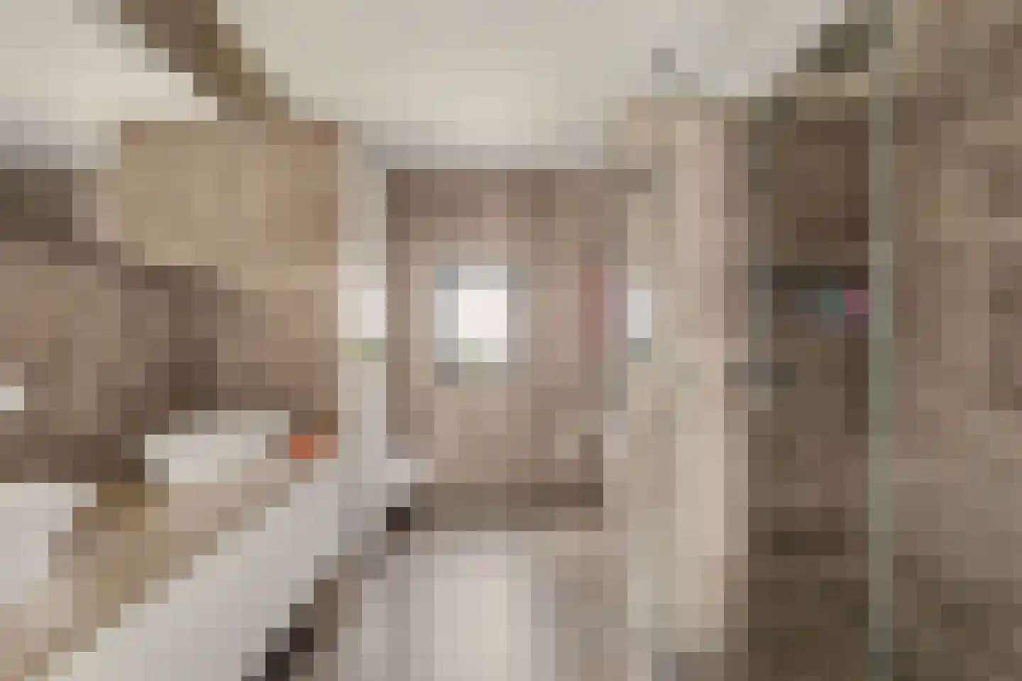 Dijkdreef 26 Kamperland thumbnail 24