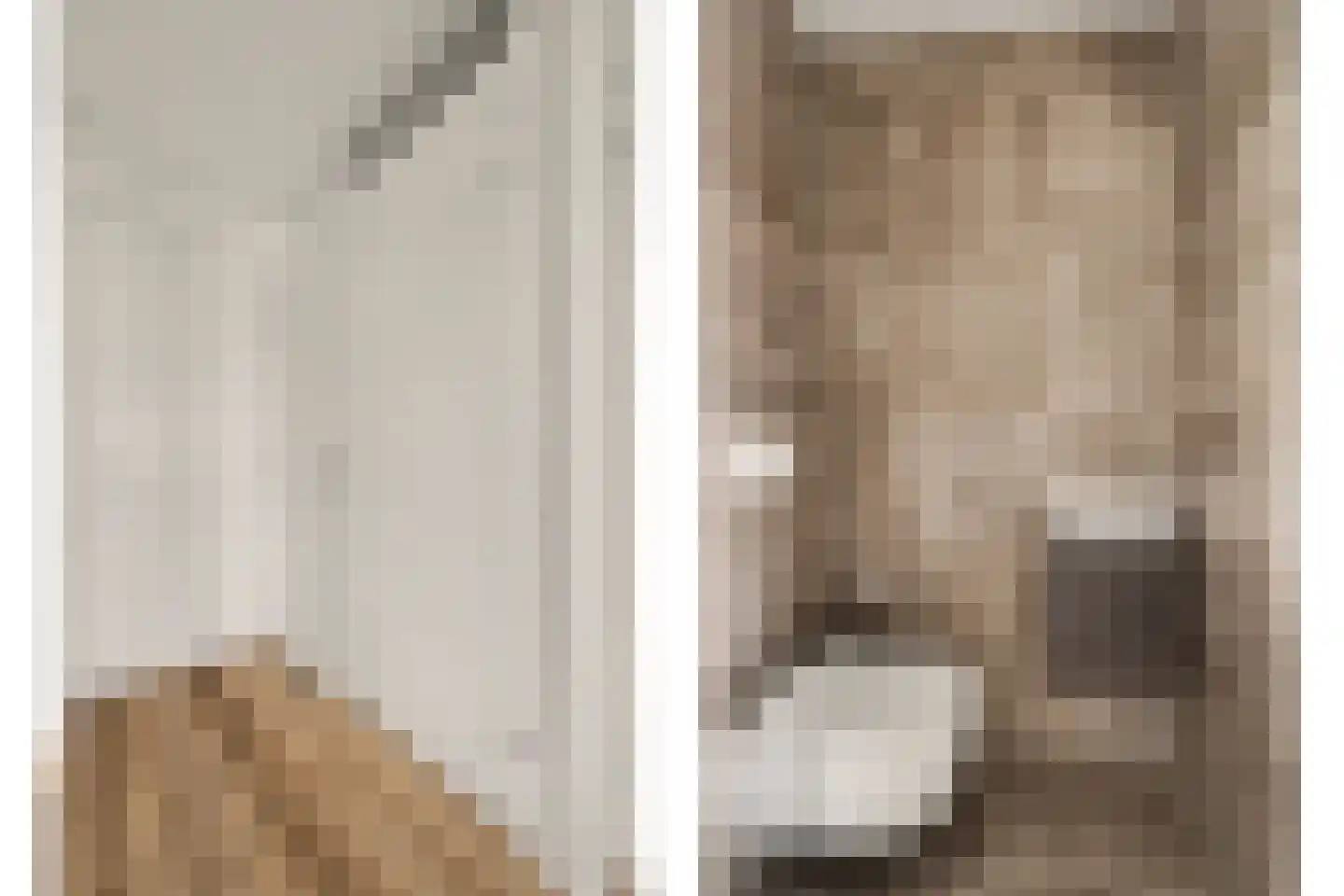 Dijkdreef 26 Kamperland thumbnail 8