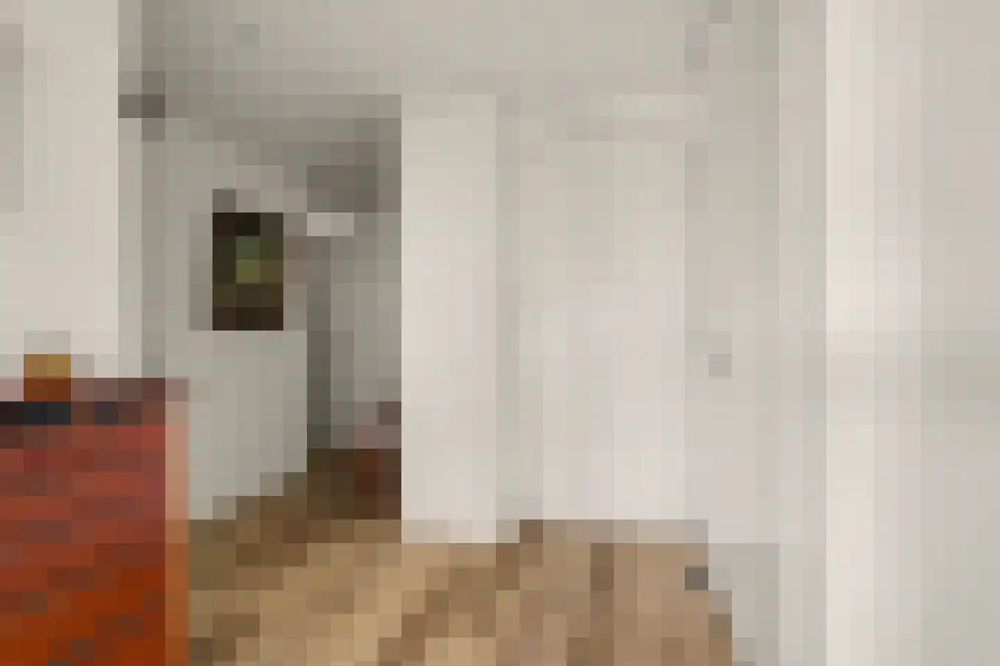 Dijkdreef 26 Kamperland thumbnail 9