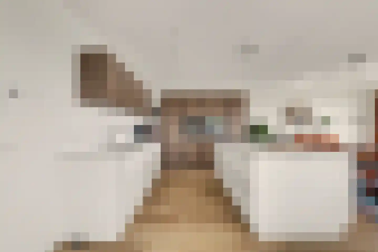 Dijkdreef 9 Kamperland thumbnail 15