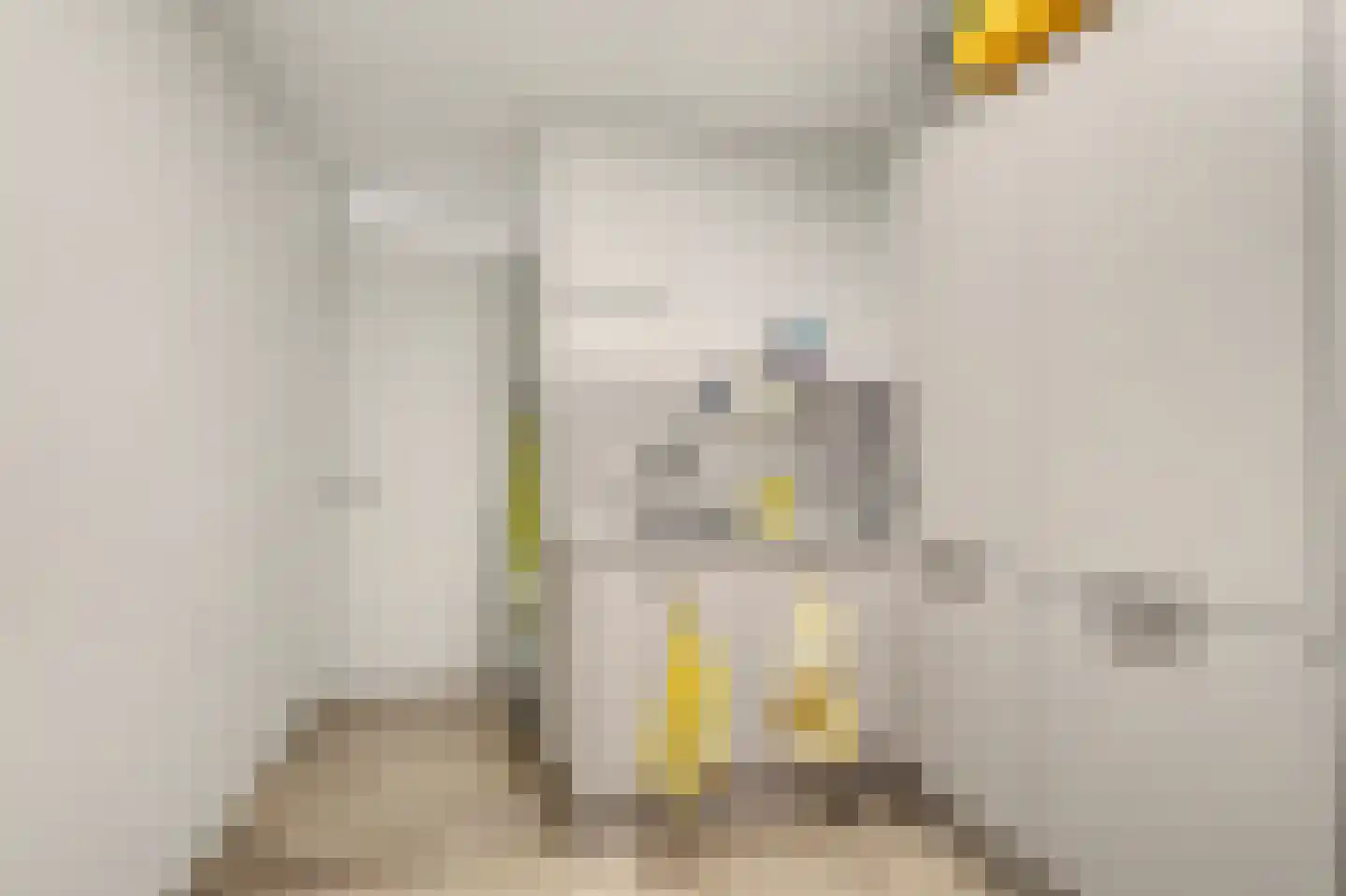 Dijkdreef 9 Kamperland thumbnail 18