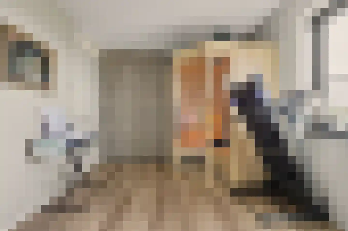 Dijkdreef 9 Kamperland thumbnail 22