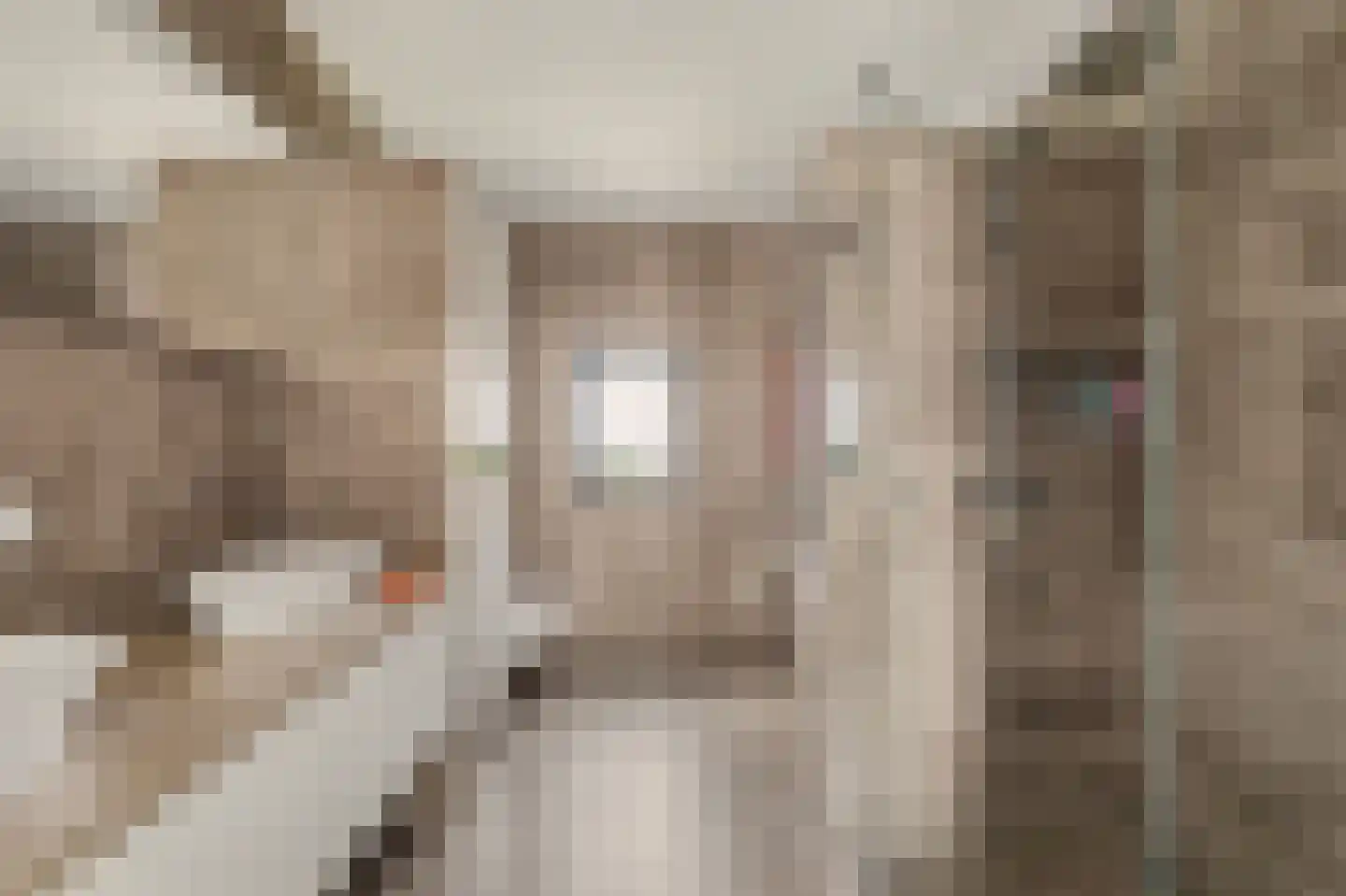 Dijkdreef 9 Kamperland thumbnail 24
