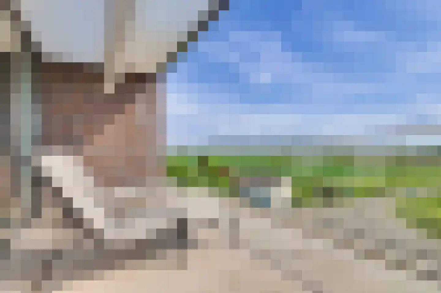 Dijkdreef 9 Kamperland thumbnail 30
