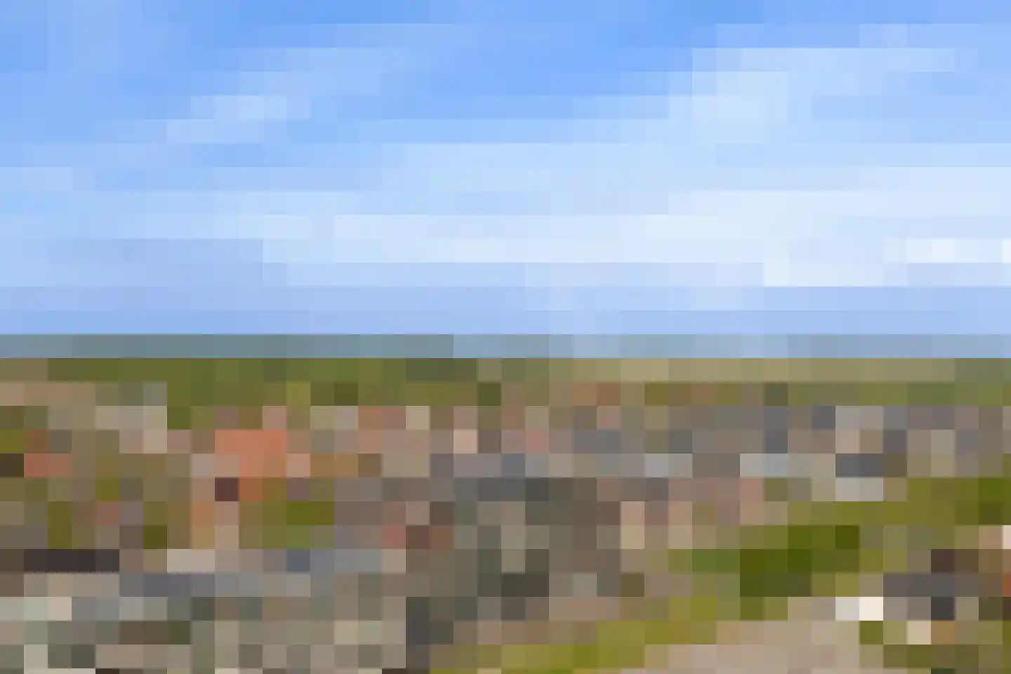Dijkdreef 9 Kamperland thumbnail 39