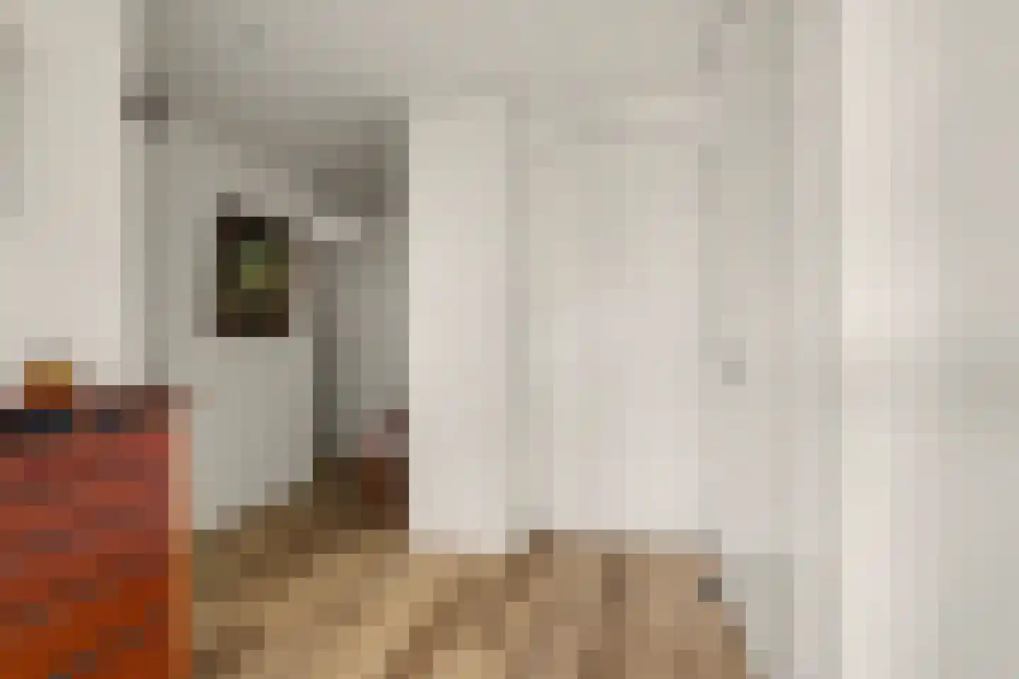 Dijkdreef 9 Kamperland thumbnail 9