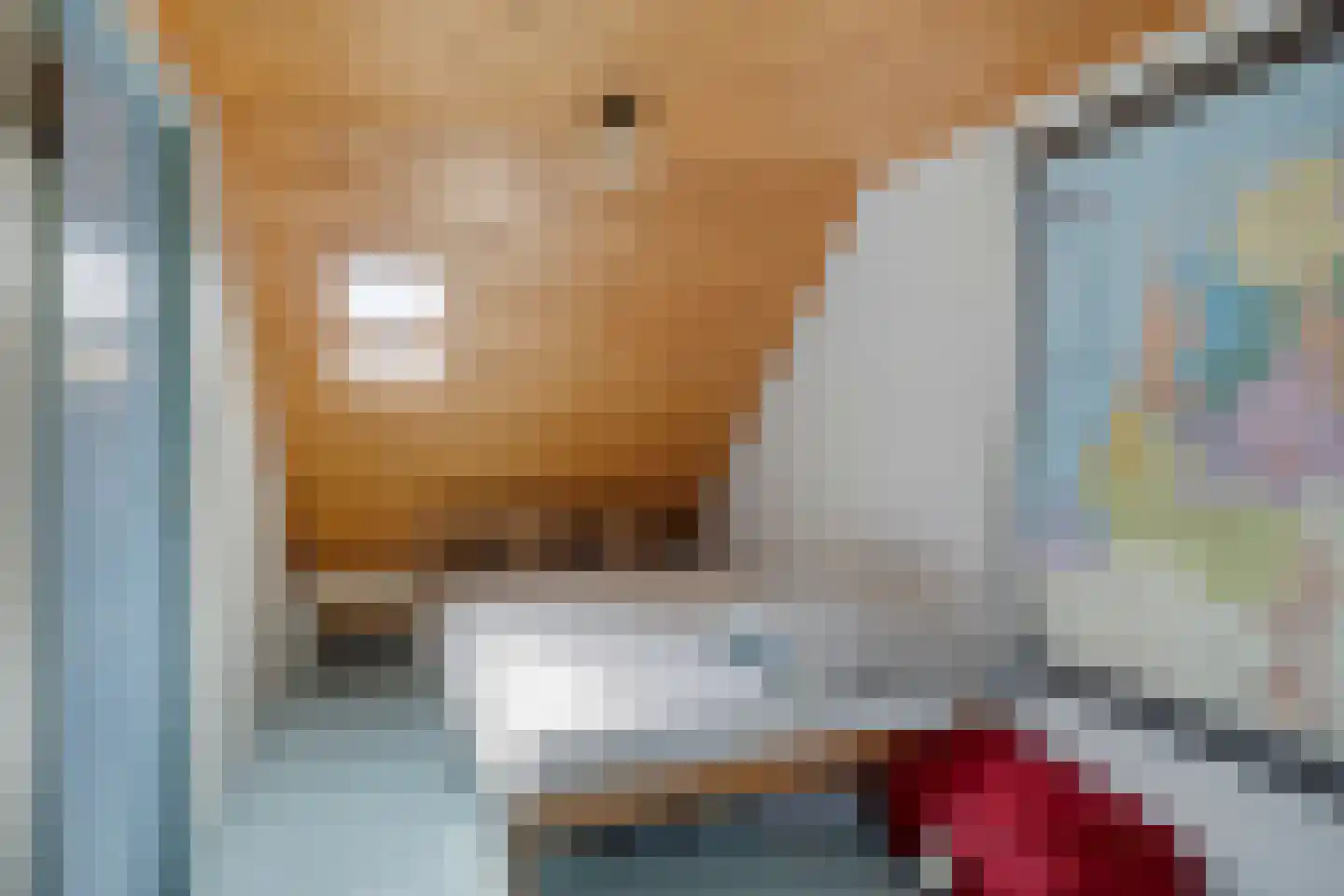 Dijkeputten 10 Hoofdplaat thumbnail 20