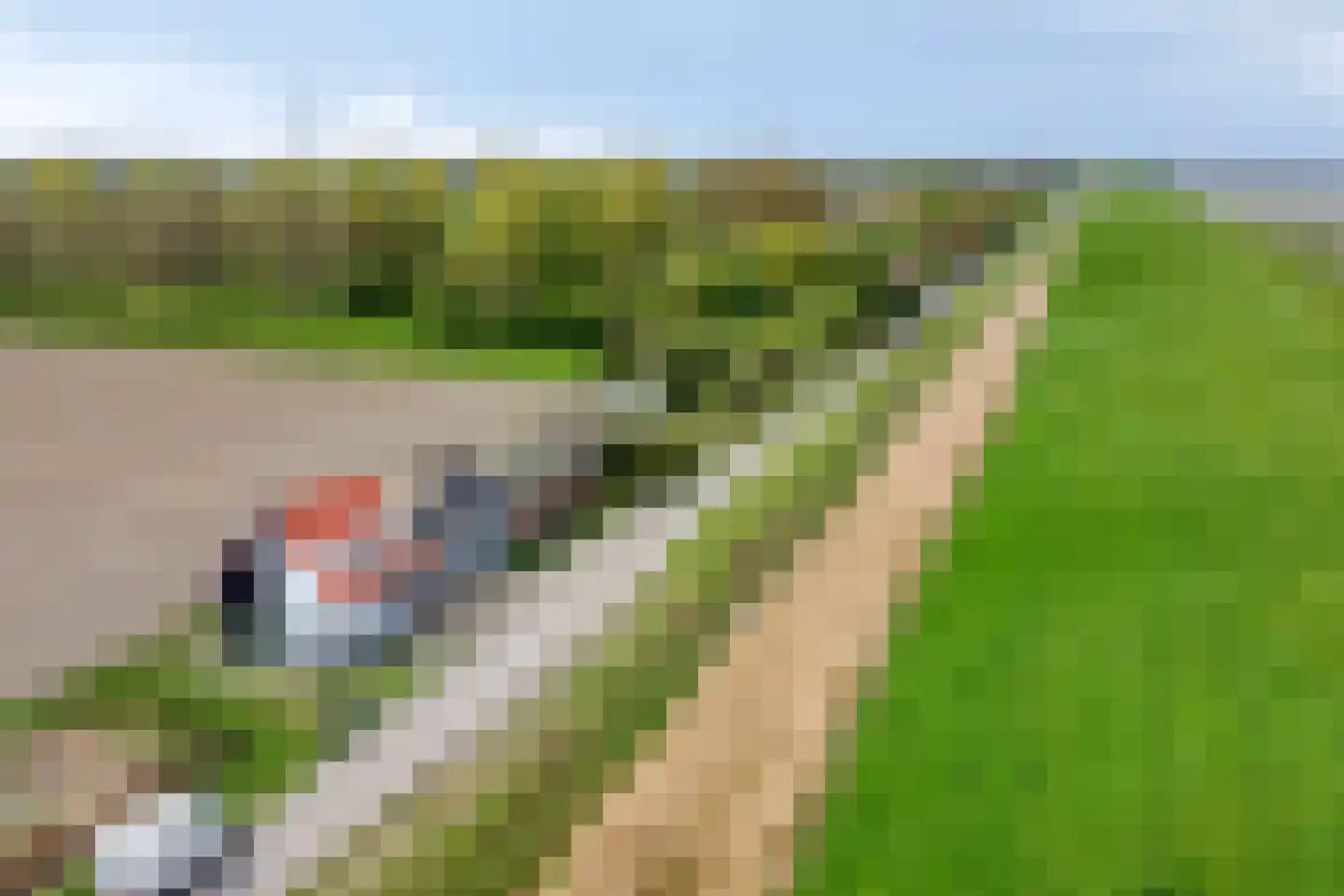 Dijkeputten 10 Hoofdplaat thumbnail 5
