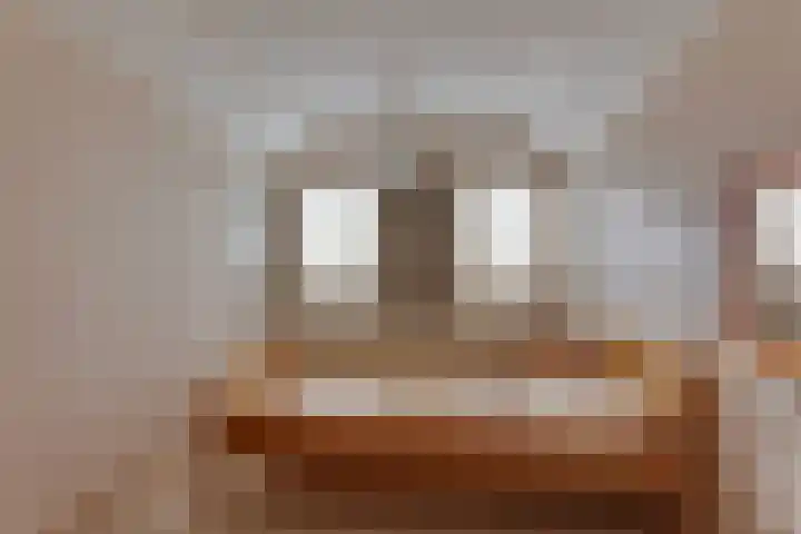 Dijkerhoekseweg 16 Holten thumbnail 13