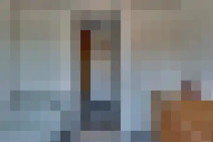 Dijkerhoekseweg 16 Holten thumbnail 17