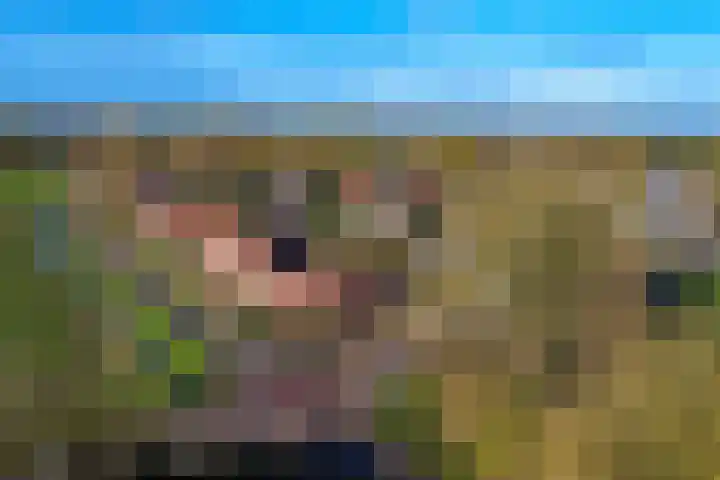 Dijkerhoekseweg 16 Holten thumbnail 32