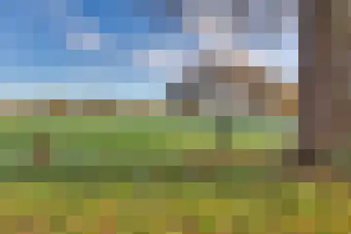 Dijkerhoekseweg 16 Holten thumbnail 38