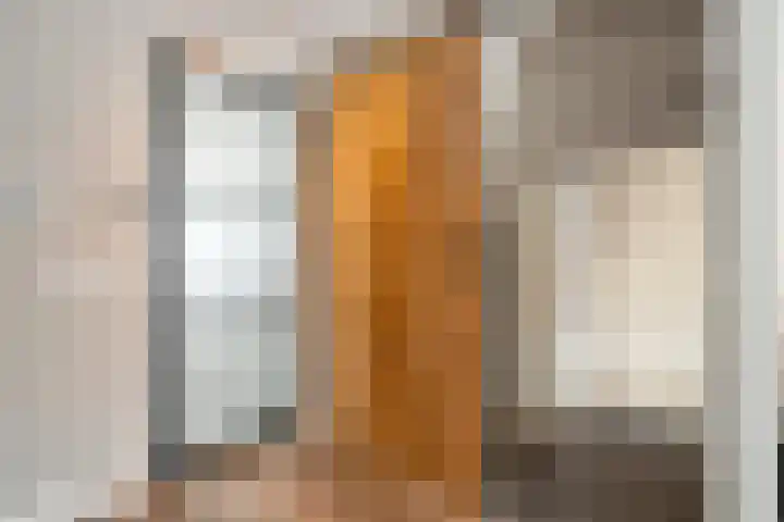 Dijkerhoekseweg 34 Holten thumbnail 10