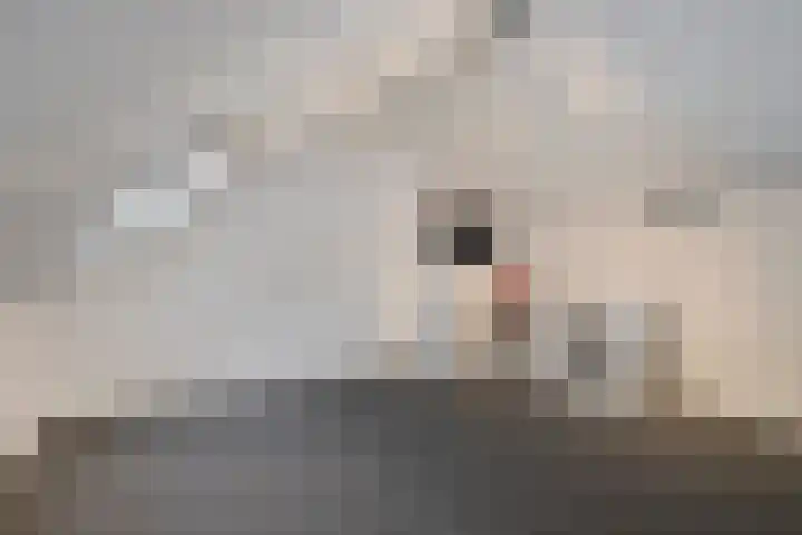 Dijkerhoekseweg 34 Holten thumbnail 21
