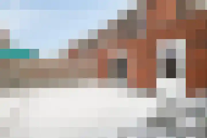 Dijkerhoekseweg 34 Holten thumbnail 23
