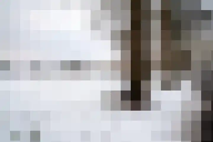 Dijkerhoekseweg 34 Holten thumbnail 36