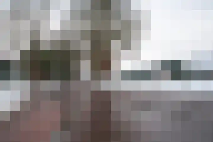 Dijkerhoekseweg 34 Holten thumbnail 39