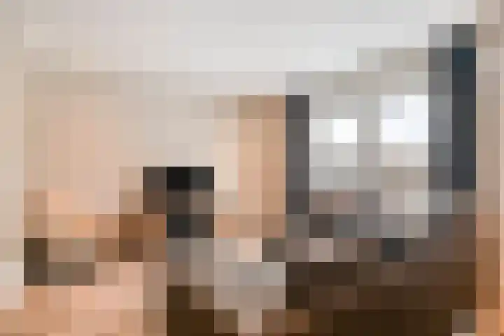 Dijkerhoekseweg 34 Holten thumbnail 4
