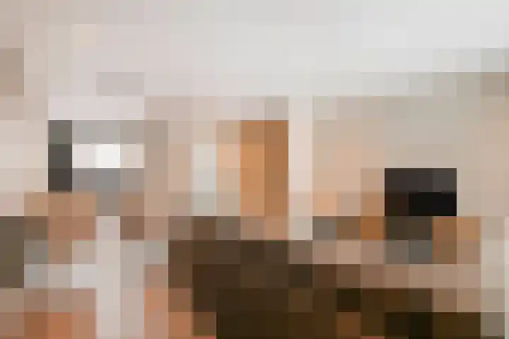 Dijkerhoekseweg 34 Holten thumbnail 5