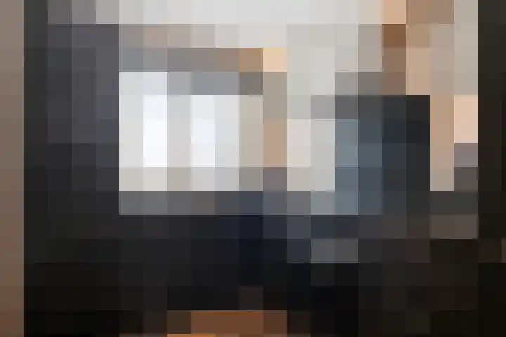 Dijkerhoekseweg 34 Holten thumbnail 8