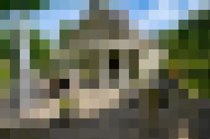 Dijkerhof 21 Weert thumbnail 32