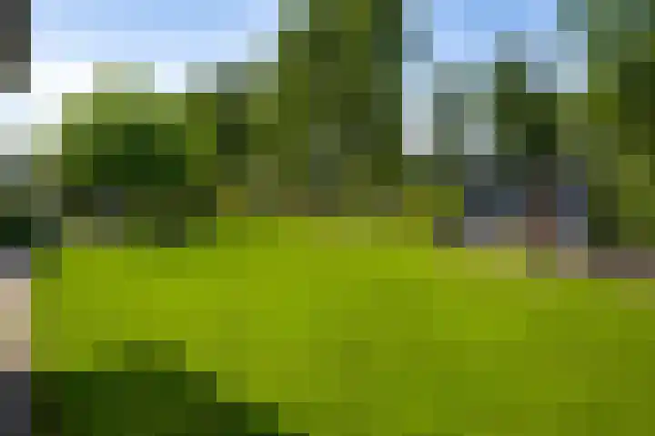Dijkerhof 21 Weert thumbnail 37