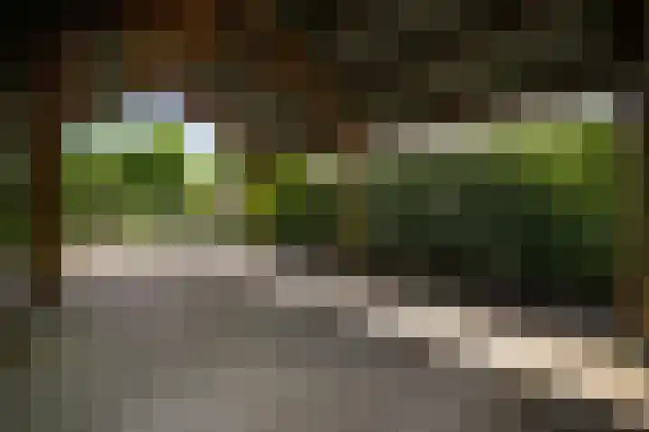 Dijkerhof 21 Weert thumbnail 38