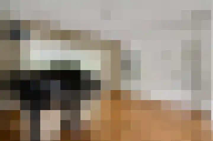 Dijkerhof 21 Weert thumbnail 6