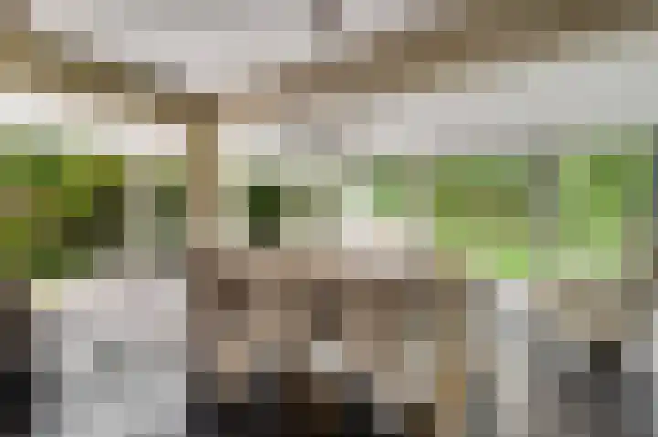 Dijkerhof 21 Weert thumbnail 8