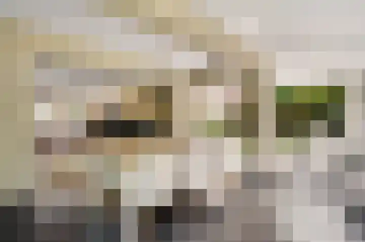 Dijkerhof 21 Weert thumbnail 9