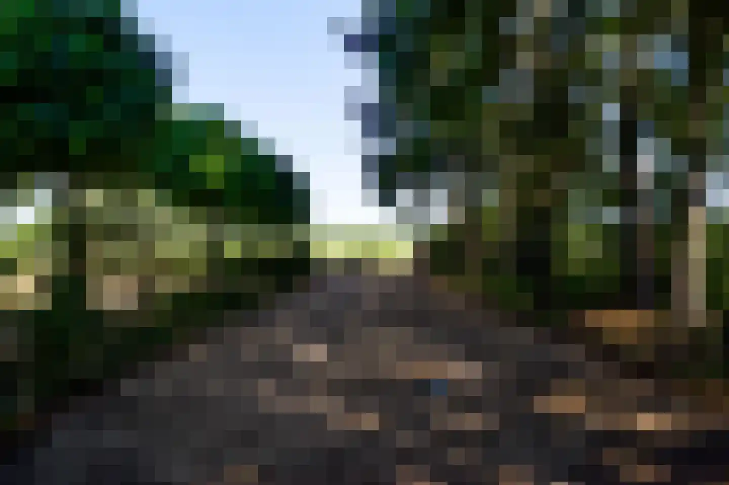 Dijkerpeelweg 24 Weert thumbnail 10