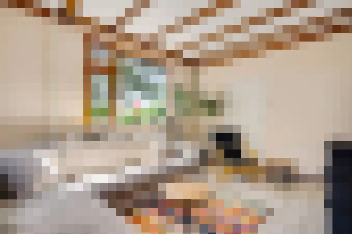 Dijkerpeelweg 24 Weert thumbnail 17