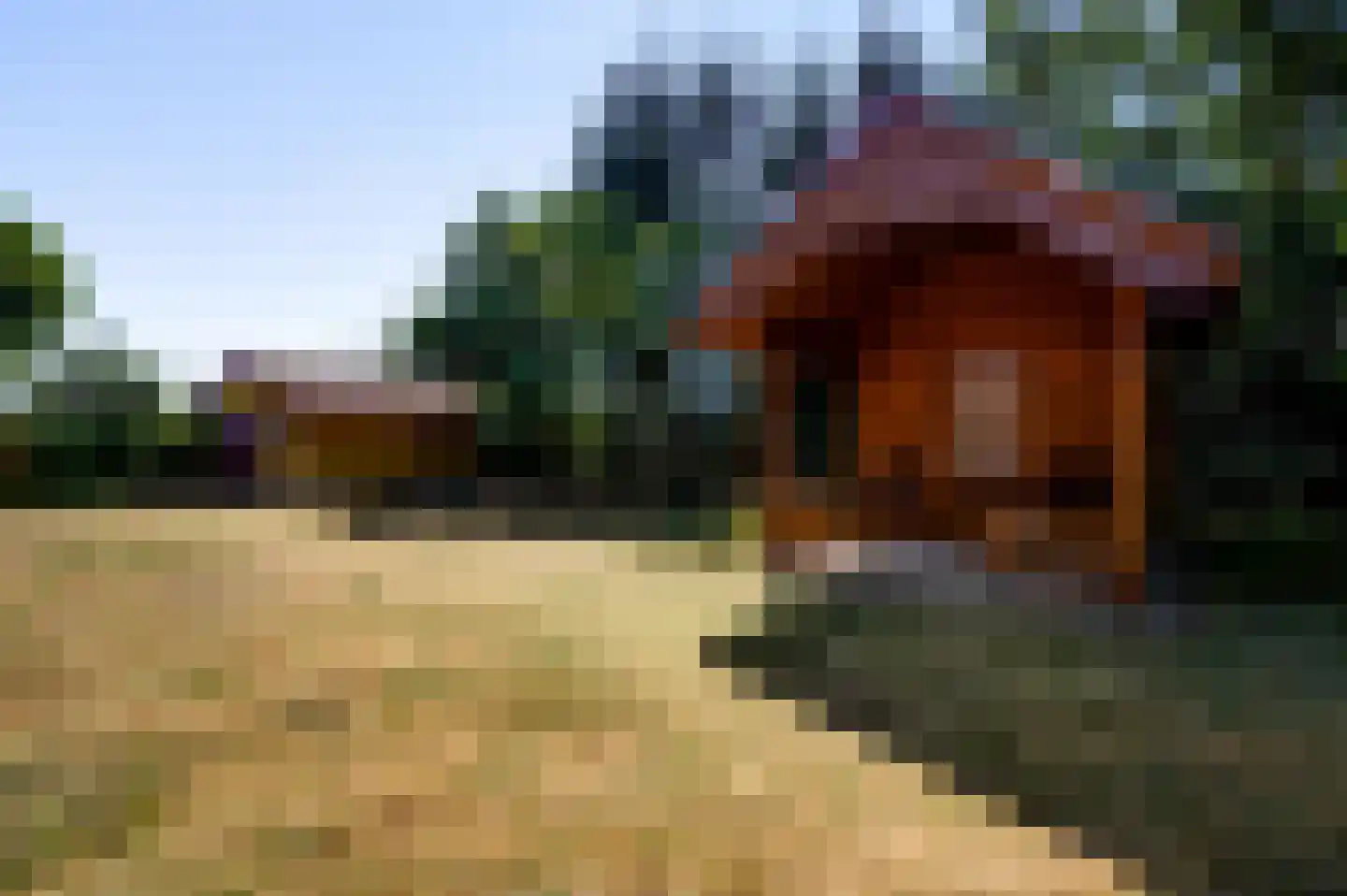 Dijkerpeelweg 24 Weert thumbnail 46