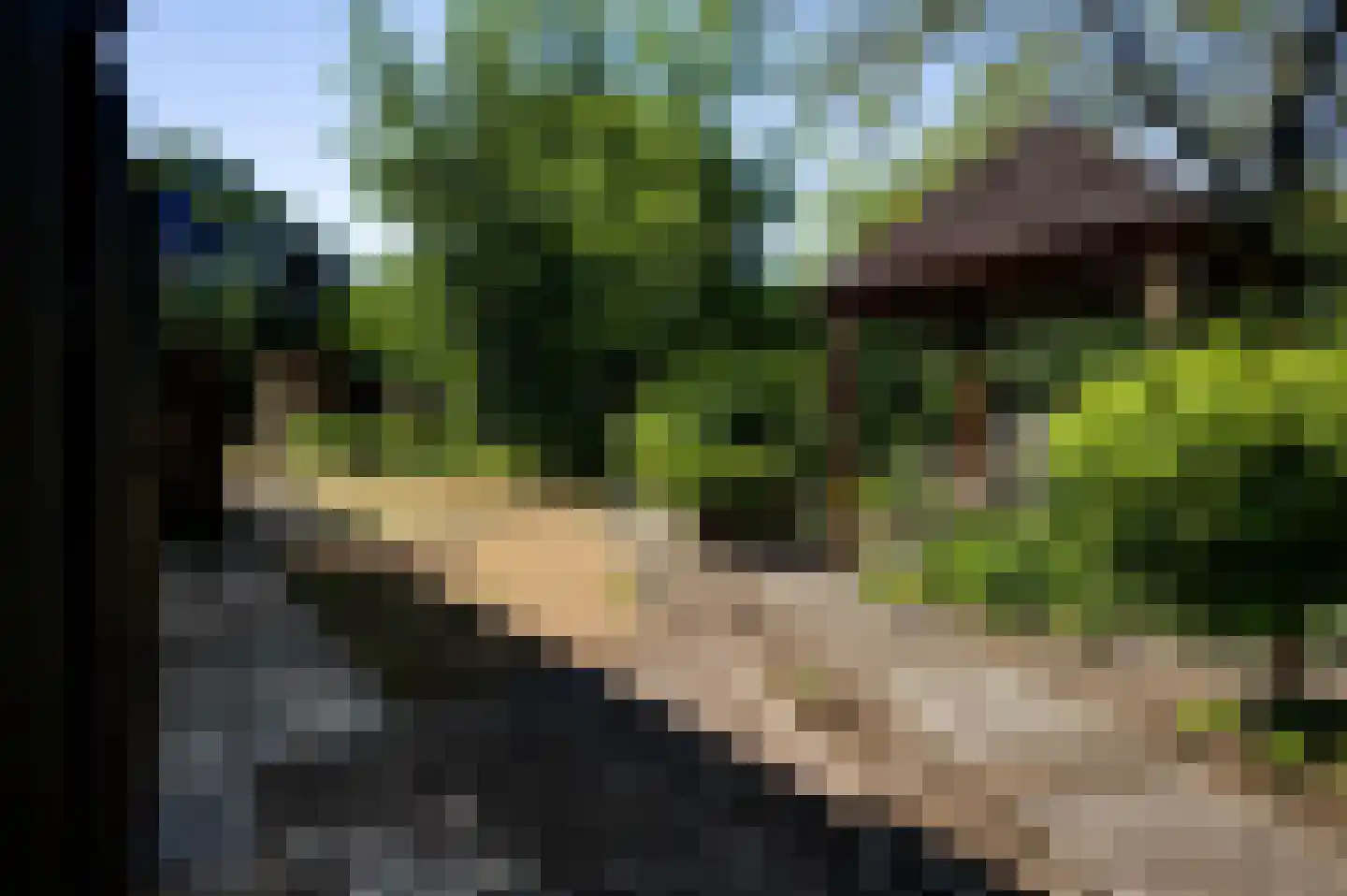 Dijkerpeelweg 24 Weert thumbnail 50