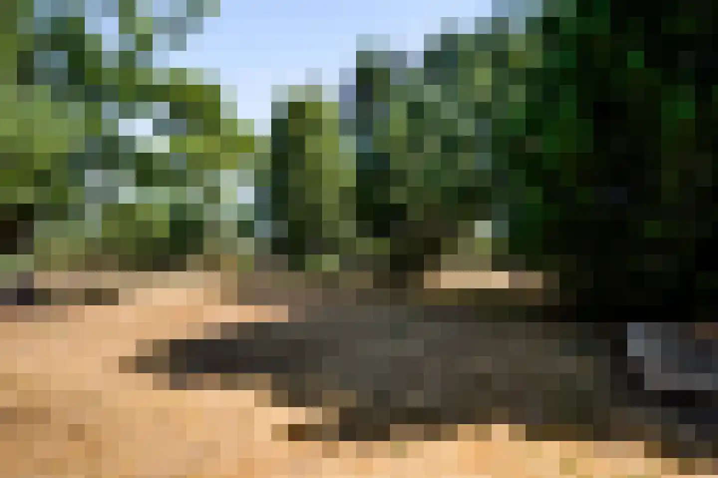 Dijkerpeelweg 24 Weert thumbnail 51