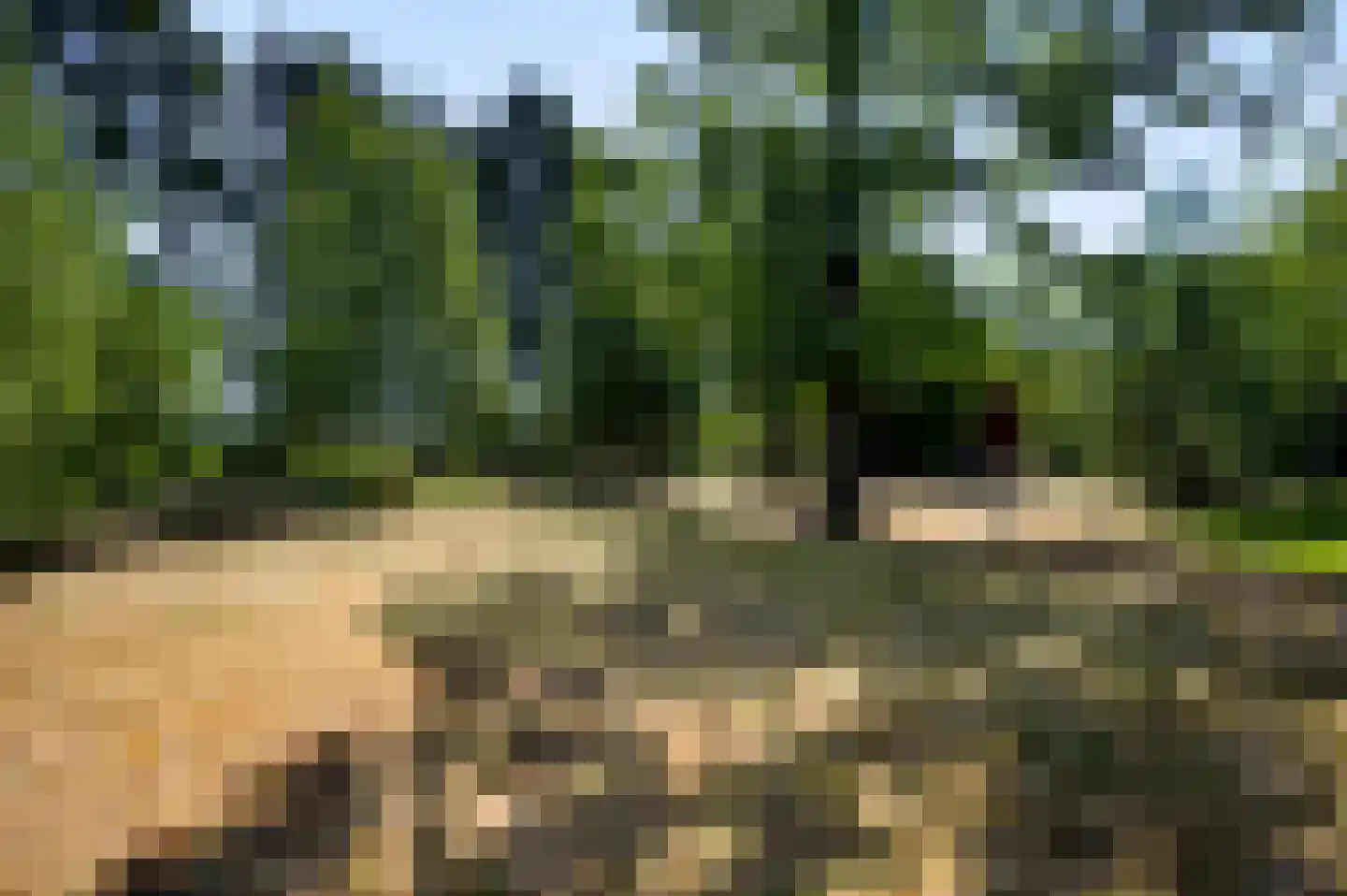 Dijkerpeelweg 24 Weert thumbnail 52