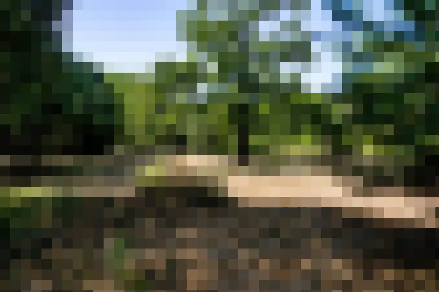 Dijkerpeelweg 24 Weert thumbnail 53