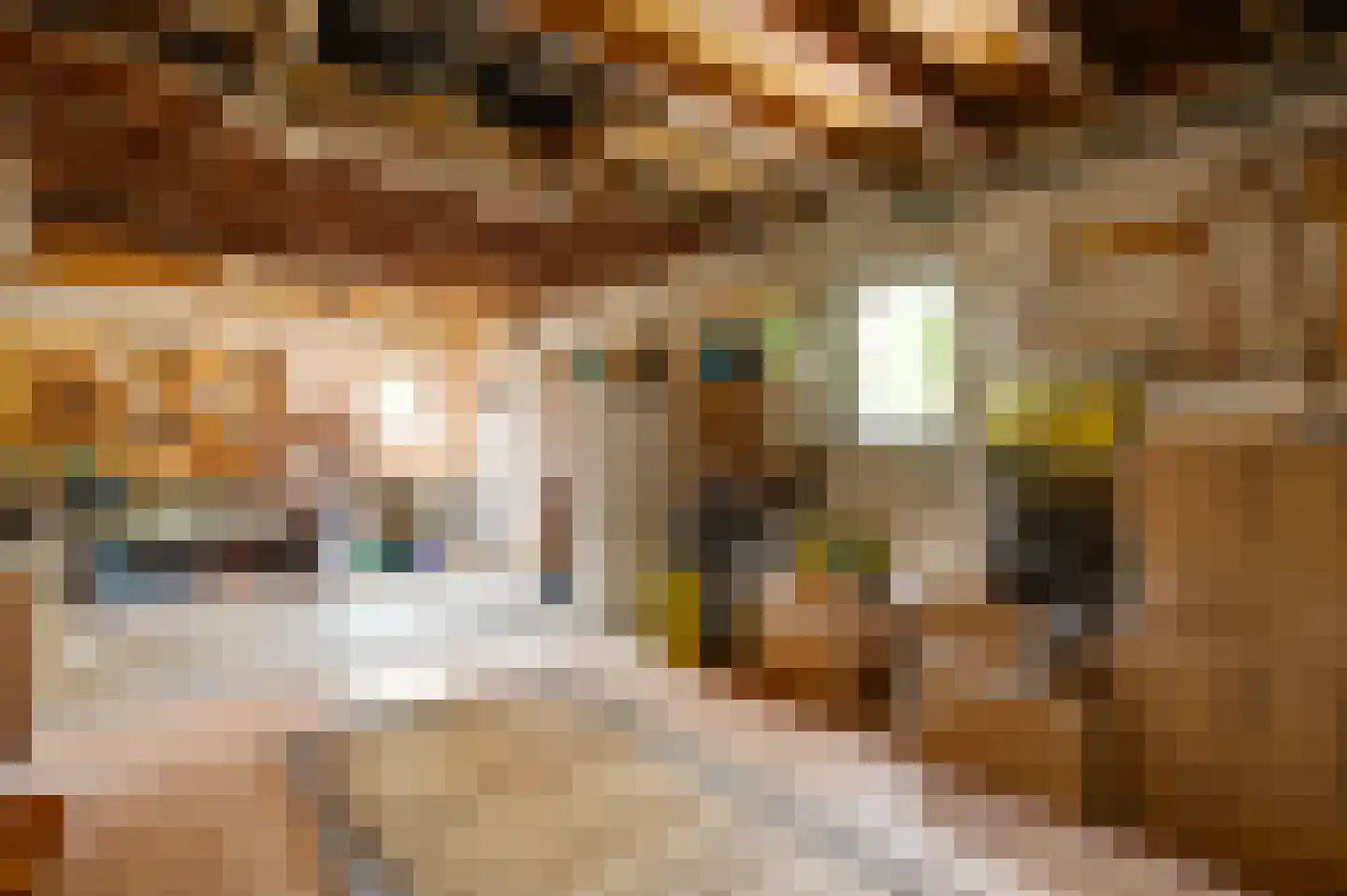 Dijkerpeelweg 24 Weert thumbnail 55