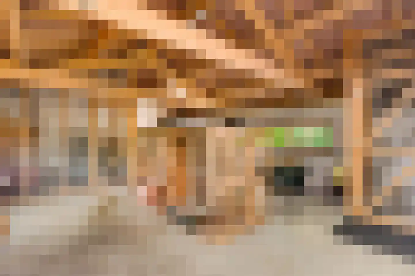 Dijkerpeelweg 24 Weert thumbnail 56
