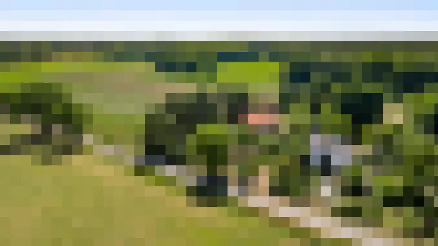 Dijkerpeelweg 24 Weert thumbnail 59