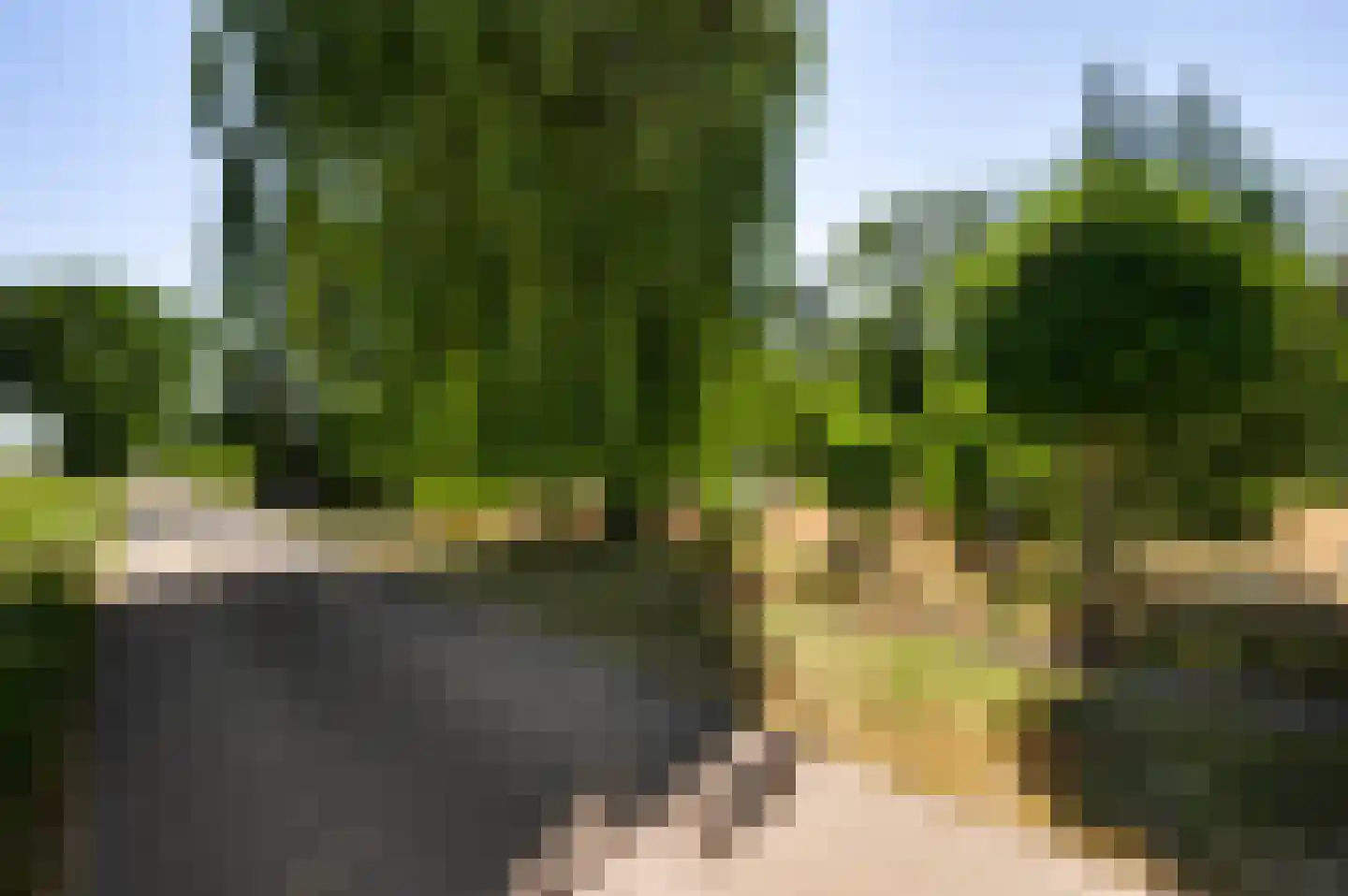Dijkerpeelweg 24 Weert thumbnail 6