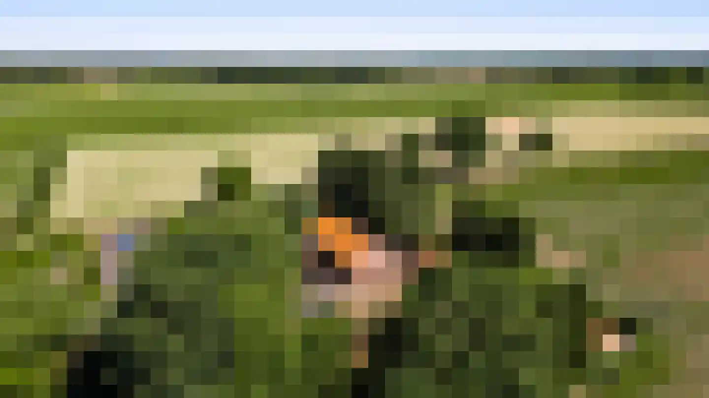 Dijkerpeelweg 24 Weert thumbnail 61