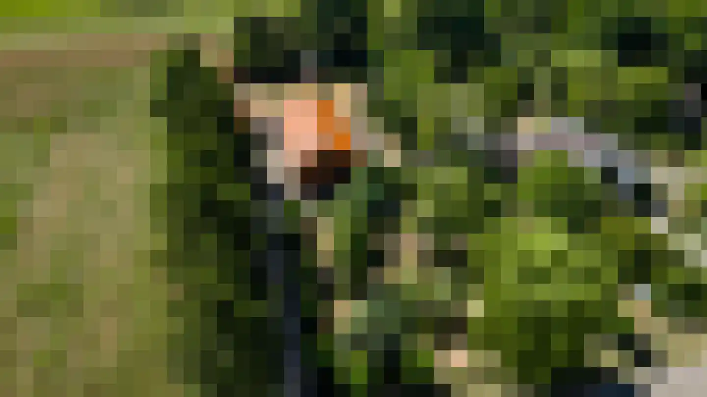 Dijkerpeelweg 24 Weert thumbnail 62