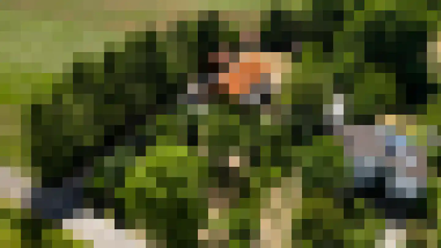 Dijkerpeelweg 24 Weert thumbnail 63
