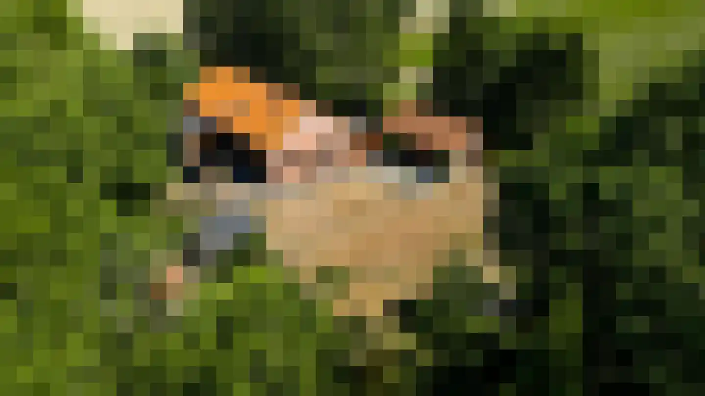 Dijkerpeelweg 24 Weert thumbnail 64