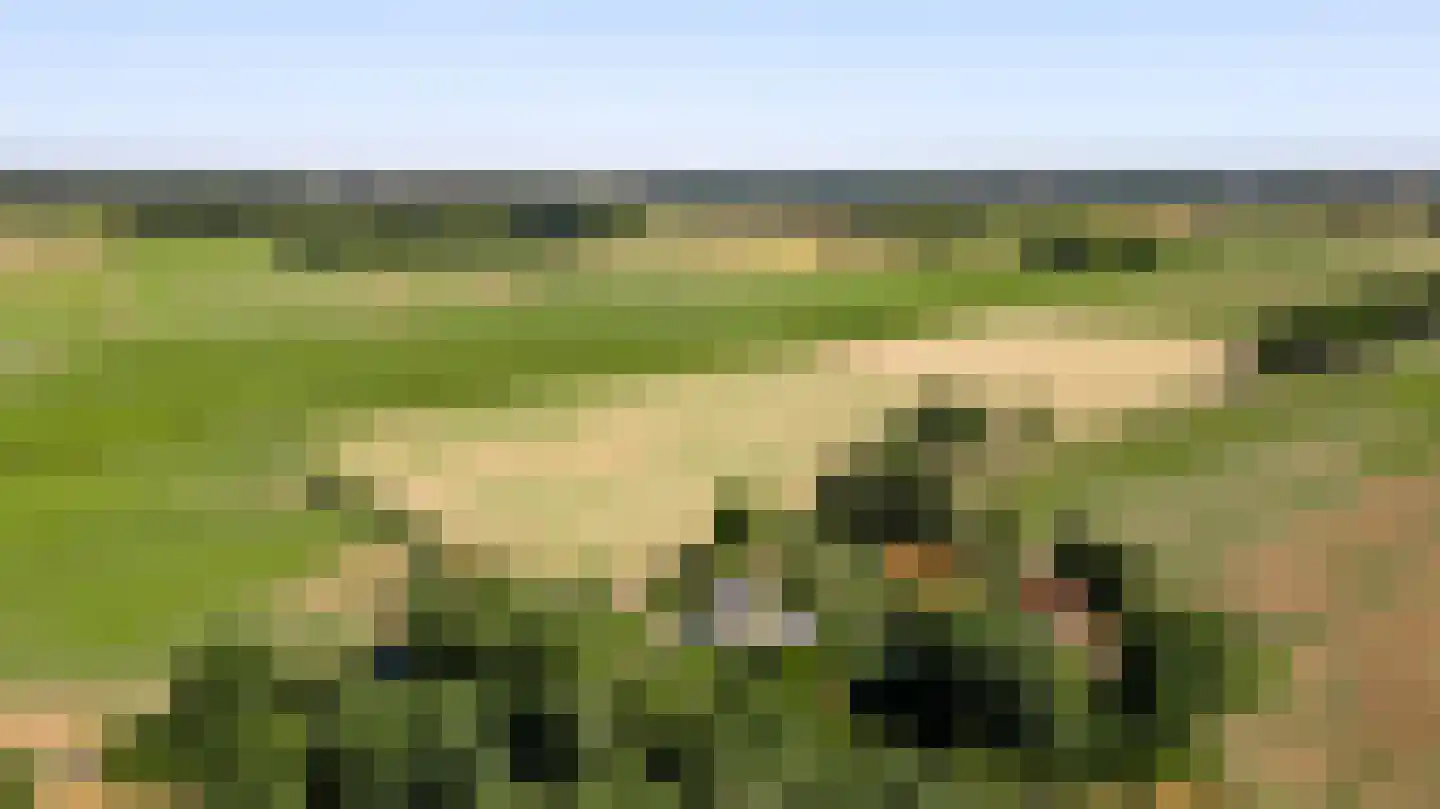 Dijkerpeelweg 24 Weert thumbnail 66