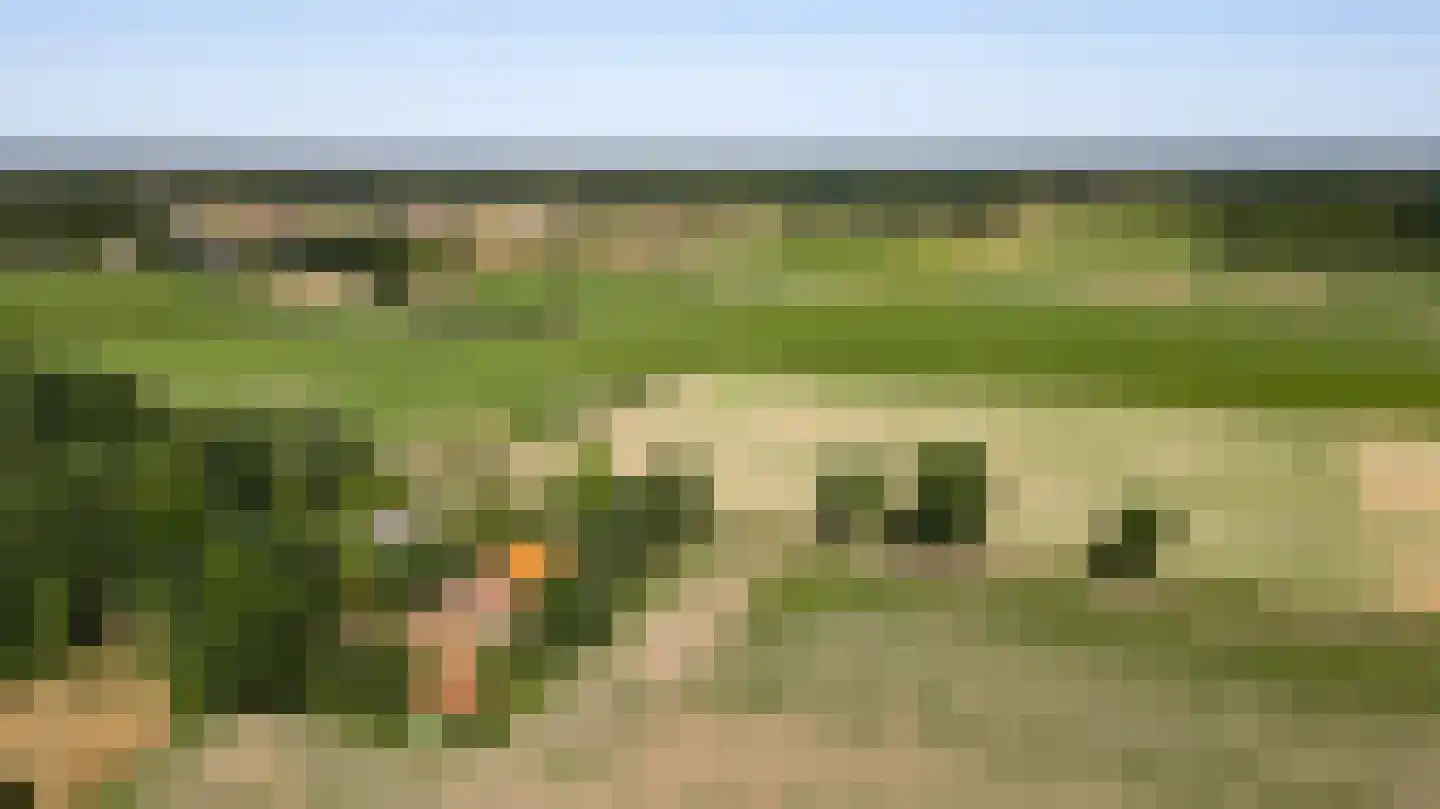 Dijkerpeelweg 24 Weert thumbnail 67