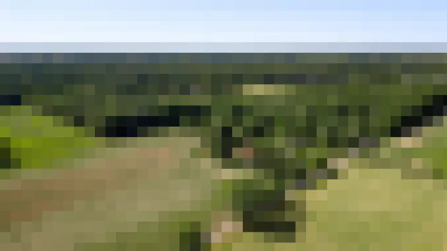 Dijkerpeelweg 24 Weert thumbnail 68